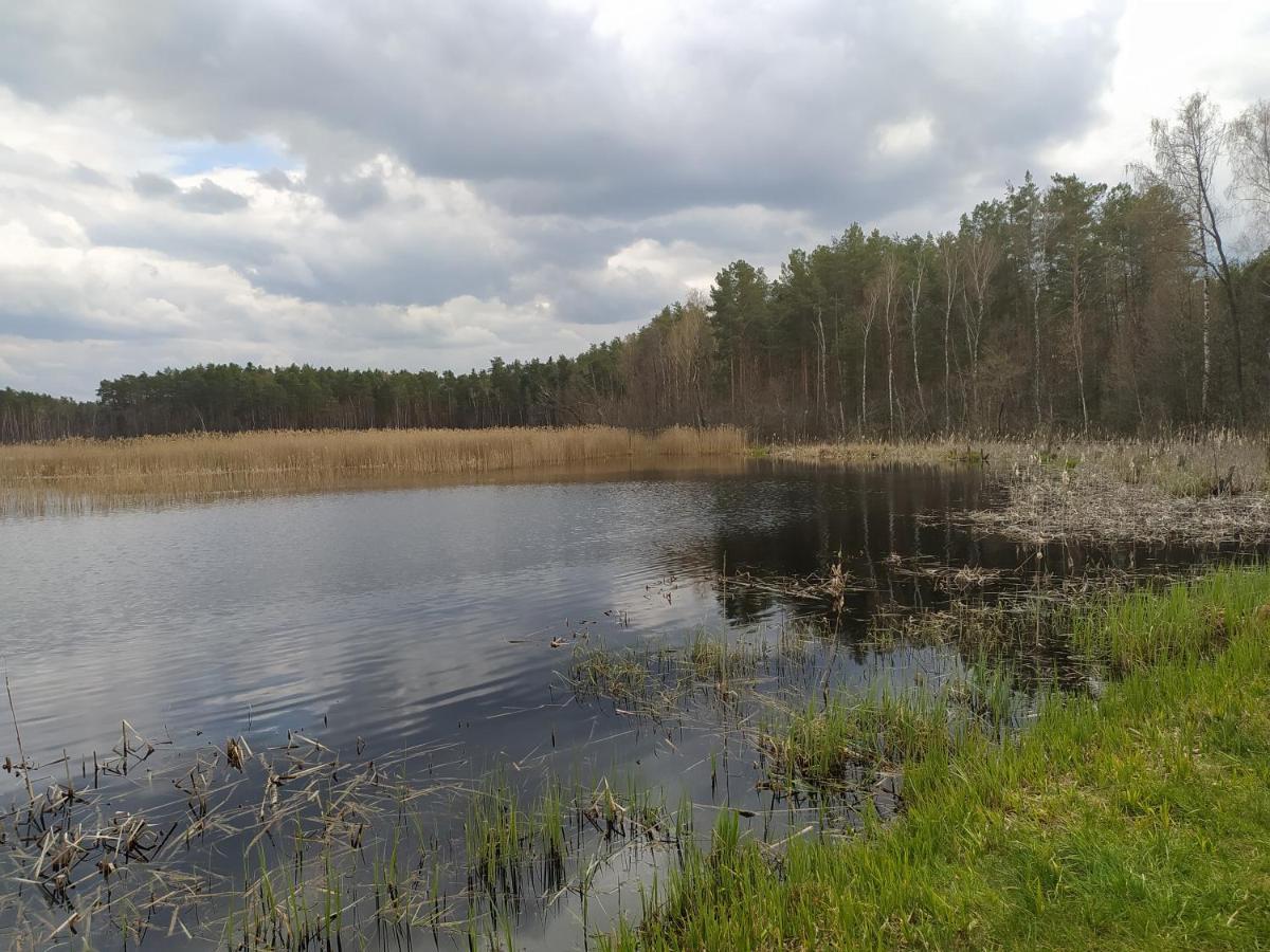 Gajówka Żłobek Vila Zlobek  Exterior foto